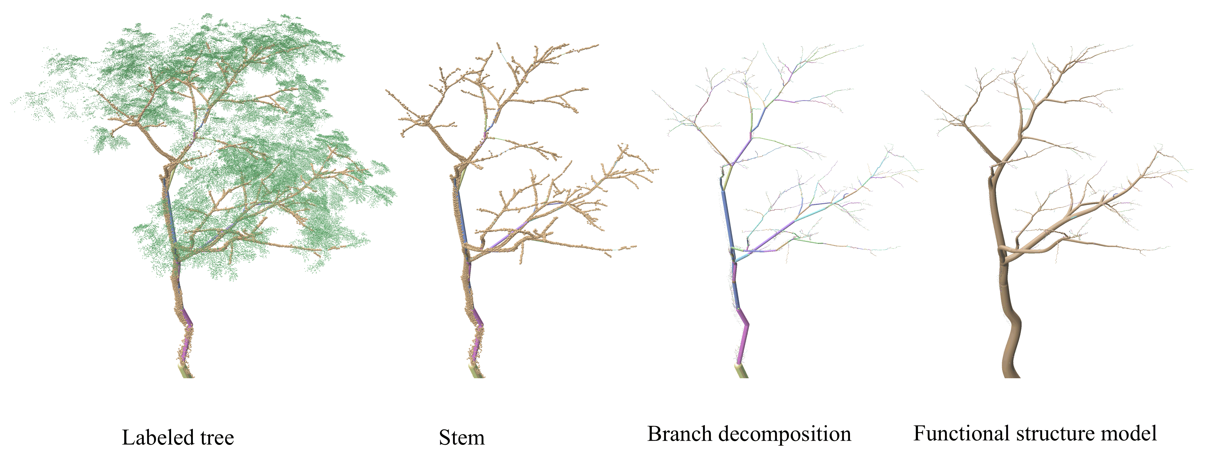 Tree decomposition and topology reconstruction preview